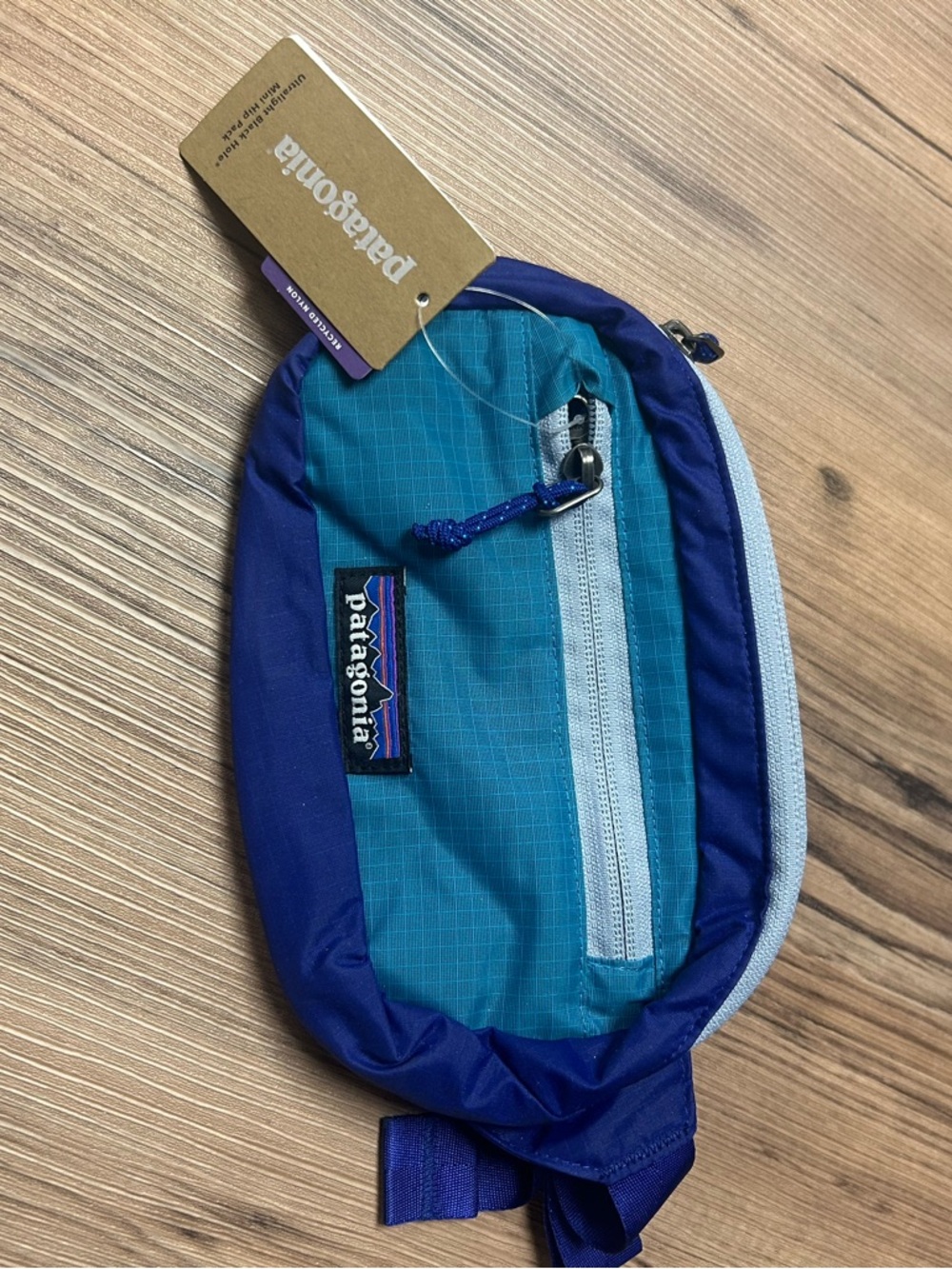 Patagonia Teal and Royal Blue Waist Pack Unisex